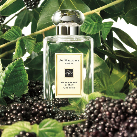 Blackberry & Bay Cologne by Jo Malone London - PERFUME BOUTIQUE