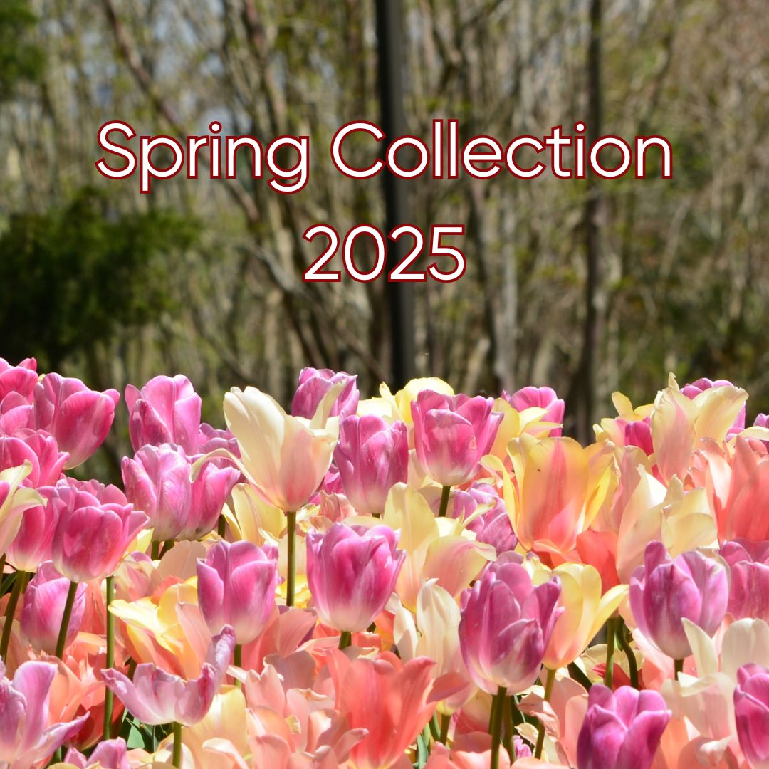 Spring 2025 Collection