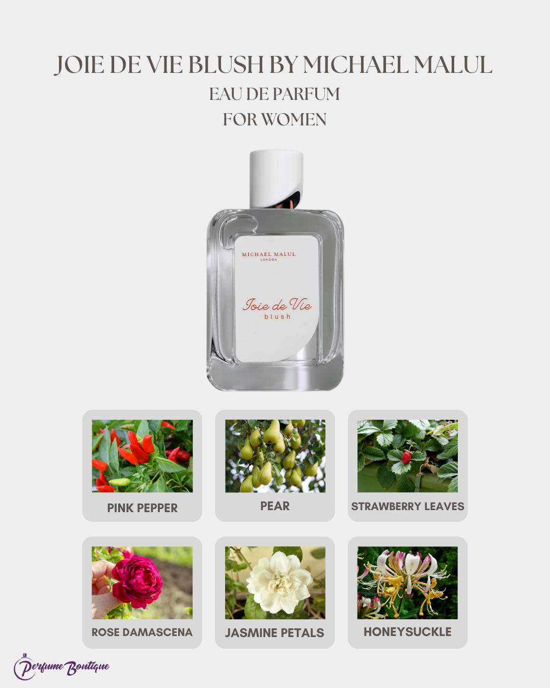 Joie de Vie Blush Eau de Parfum GIFT SET by Michael Malul