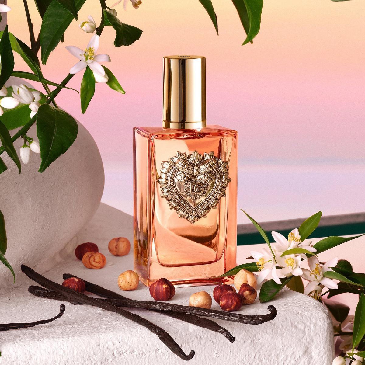 Devotion Eau de Parfum Intense by Dolce & Gabbana – PERFUME BOUTIQUE