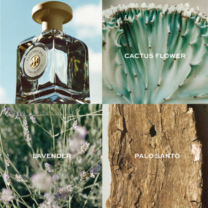 ELECTRIC SKY Eau de Parfum by Tory Burch