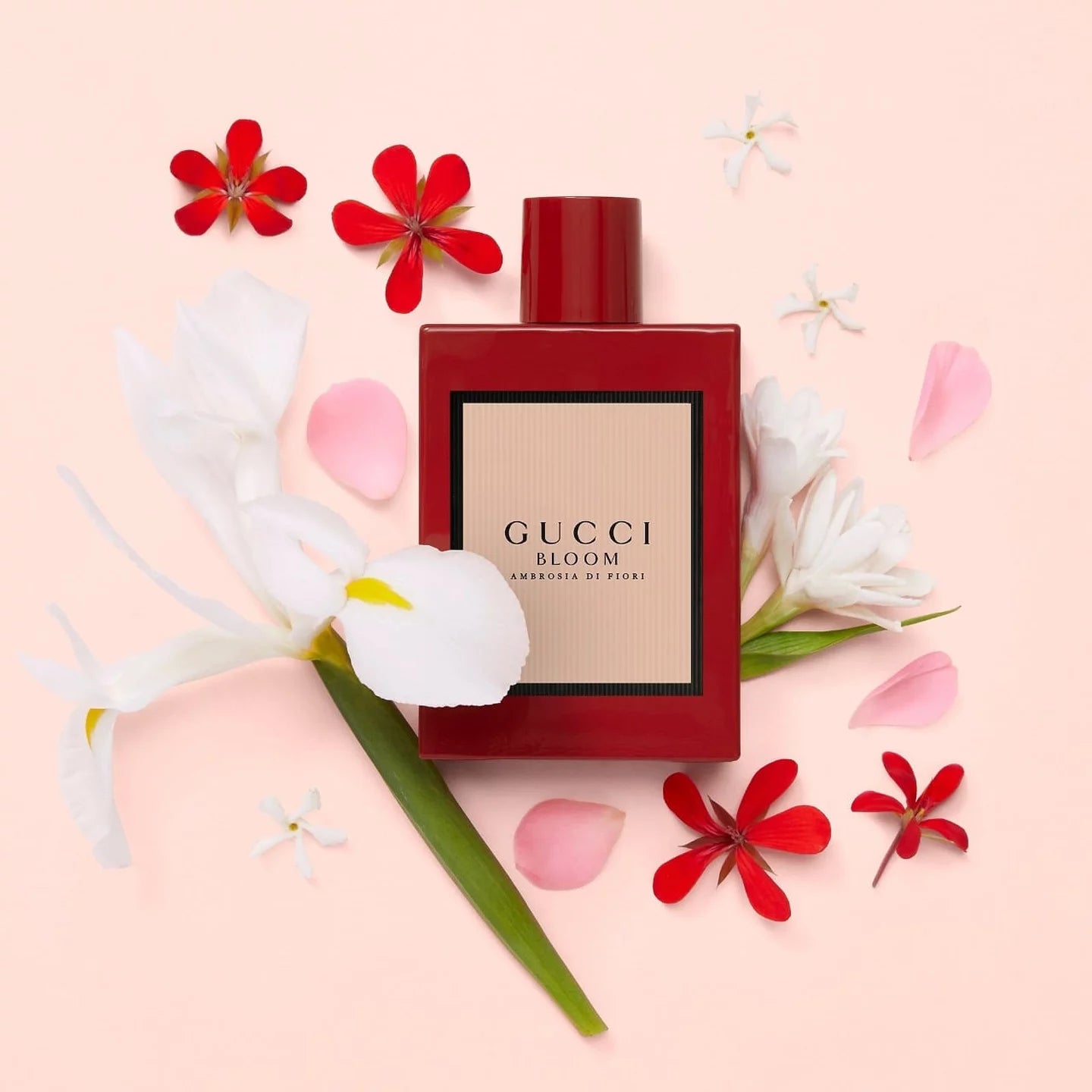 Gucci Bloom Ambrosia Di Fiori Eau de Parfum by Gucci – PERFUME Gucci Bloom Ambrosia Di Fiori Eau de Parfum by Gucci – PERFUME