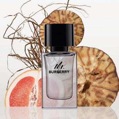 Mr. Burberry Eau de Toilette by Burberry - PERFUME BOUTIQUE
