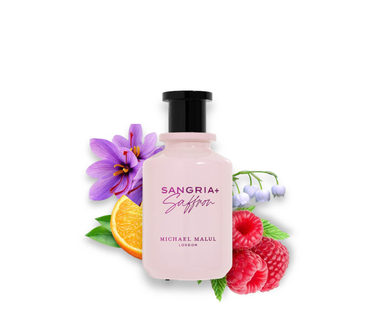 Sangria+Saffron Eau de Parfum by Michael Malul - PERFUME BOUTIQUE