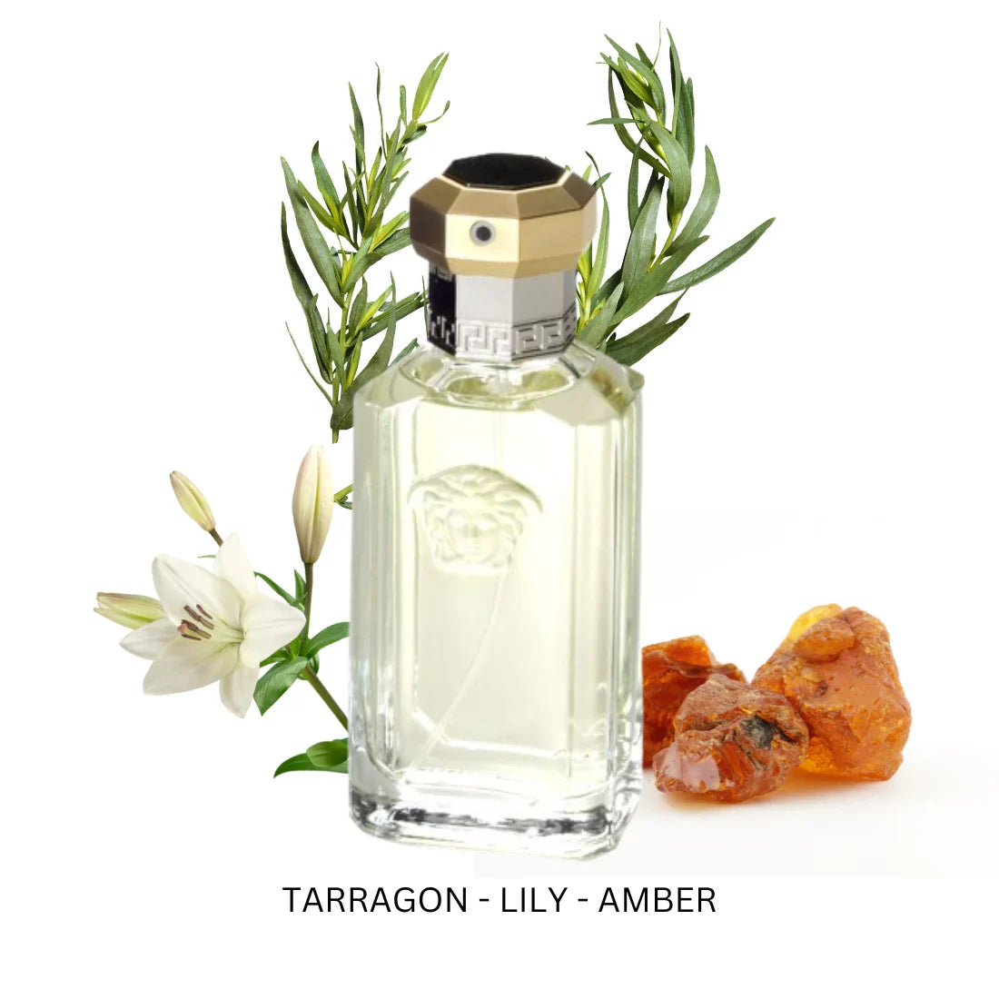 The Dreamer Eau de Toilette by Versace - PERFUME BOUTIQUE