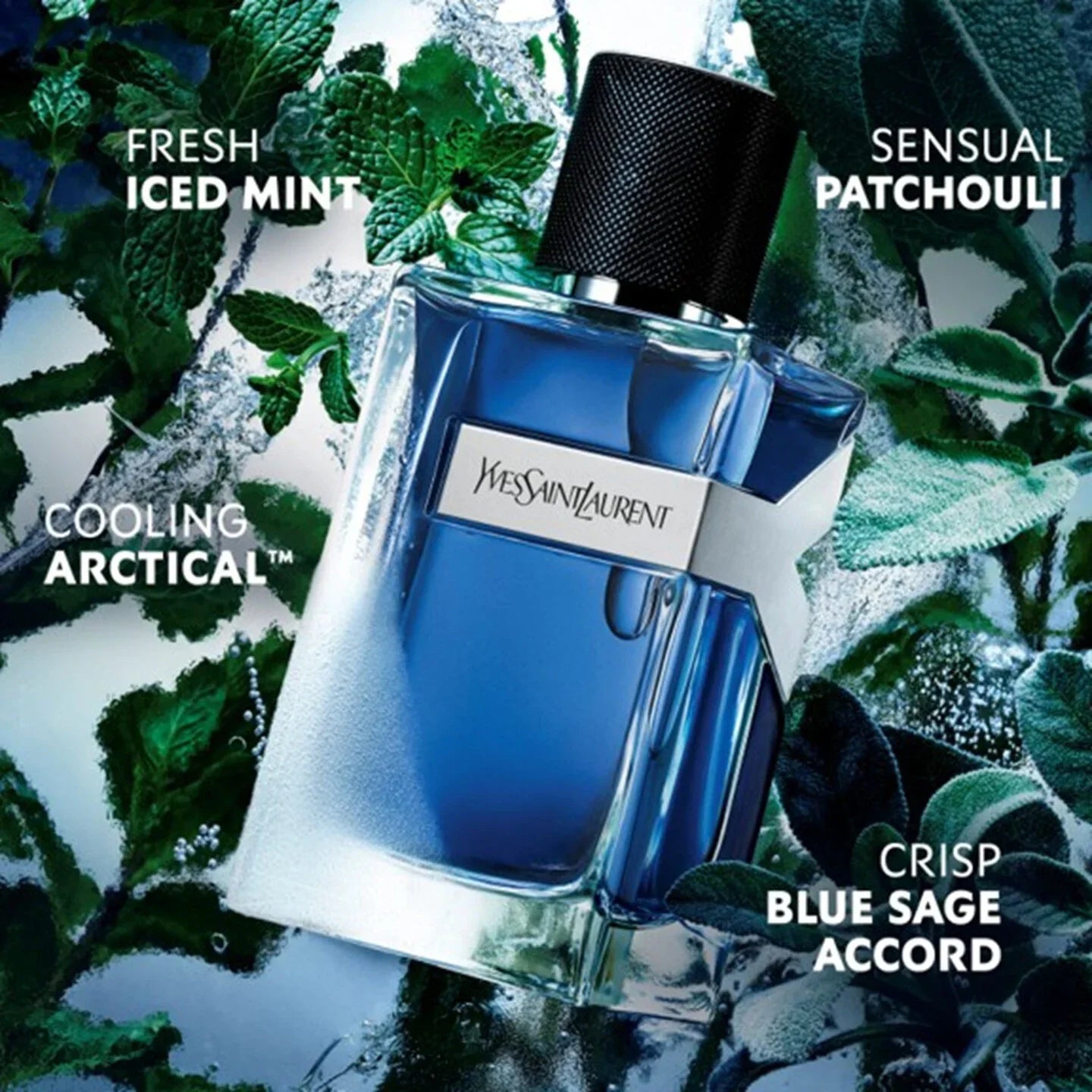 Y Iced Cologne Eau de Toilette Intense by Yves Saint Laurent