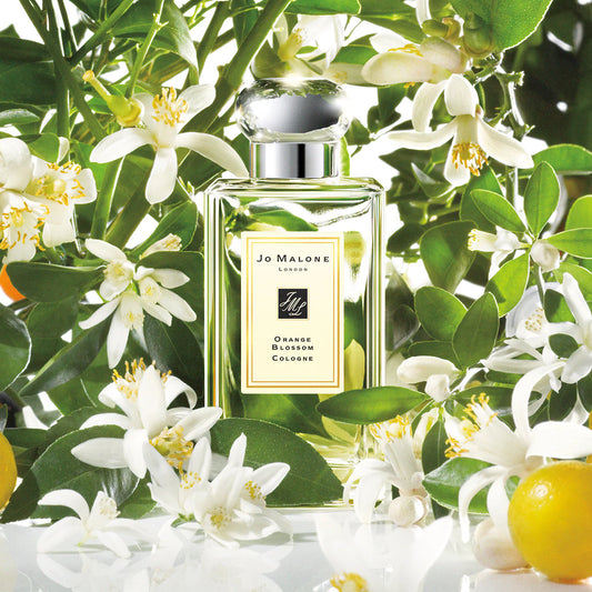 Orange Blossom Cologne by Jo Malone London - PERFUME BOUTIQUE