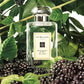 Blackberry & Bay Cologne by Jo Malone London