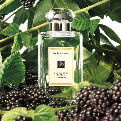Blackberry & Bay Cologne by Jo Malone London - PERFUME BOUTIQUE