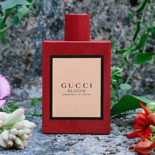 Gucci Bloom Ambrosia Di Fiori by Gucci Perfume for Women